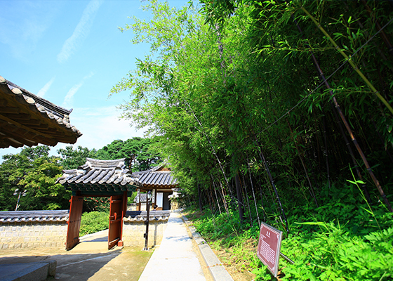 오죽헌
